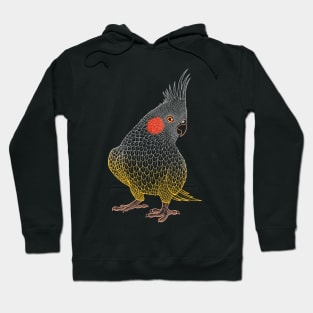 Parrot cockatiel bird cockatiel lover Hoodie